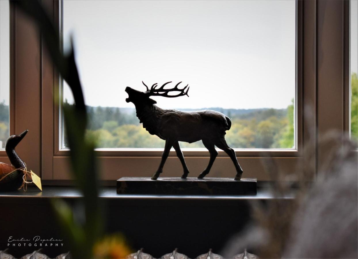 La Villa Du Pre Du Cerf 斯帕 外观 照片